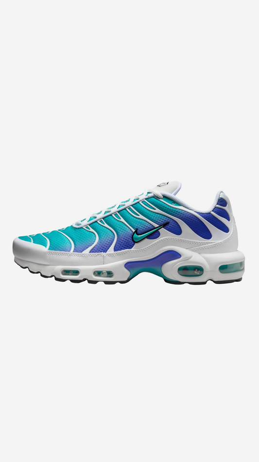 Air Max Plus 'Dusty Cactus Persian Violet'