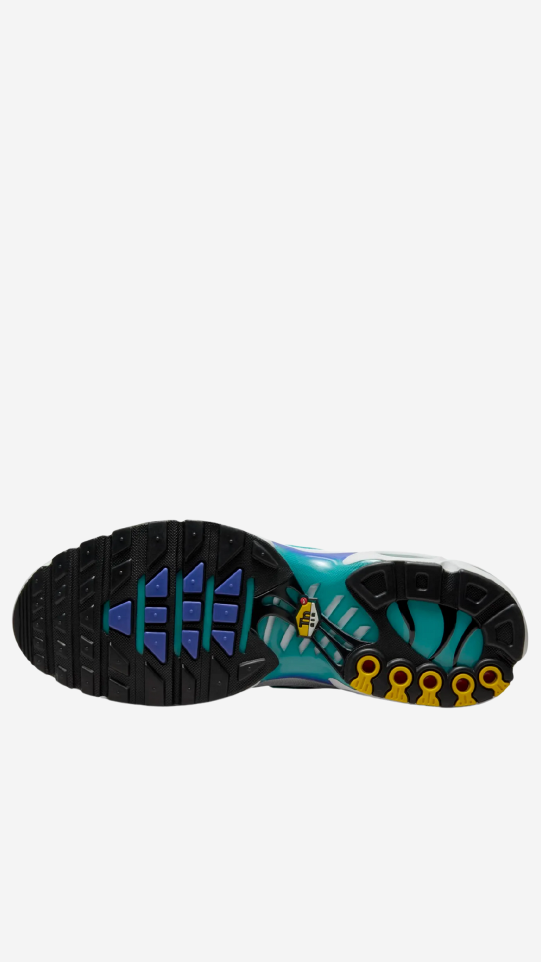 Air Max Plus 'Dusty Cactus Persian Violet'