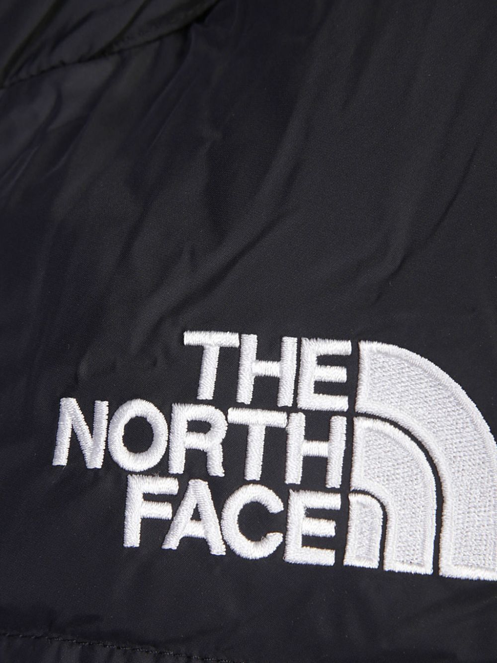 The North Face 1996 Blue Vesta