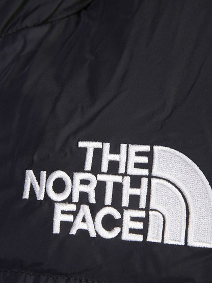 The North Face 1996 Blue Vesta