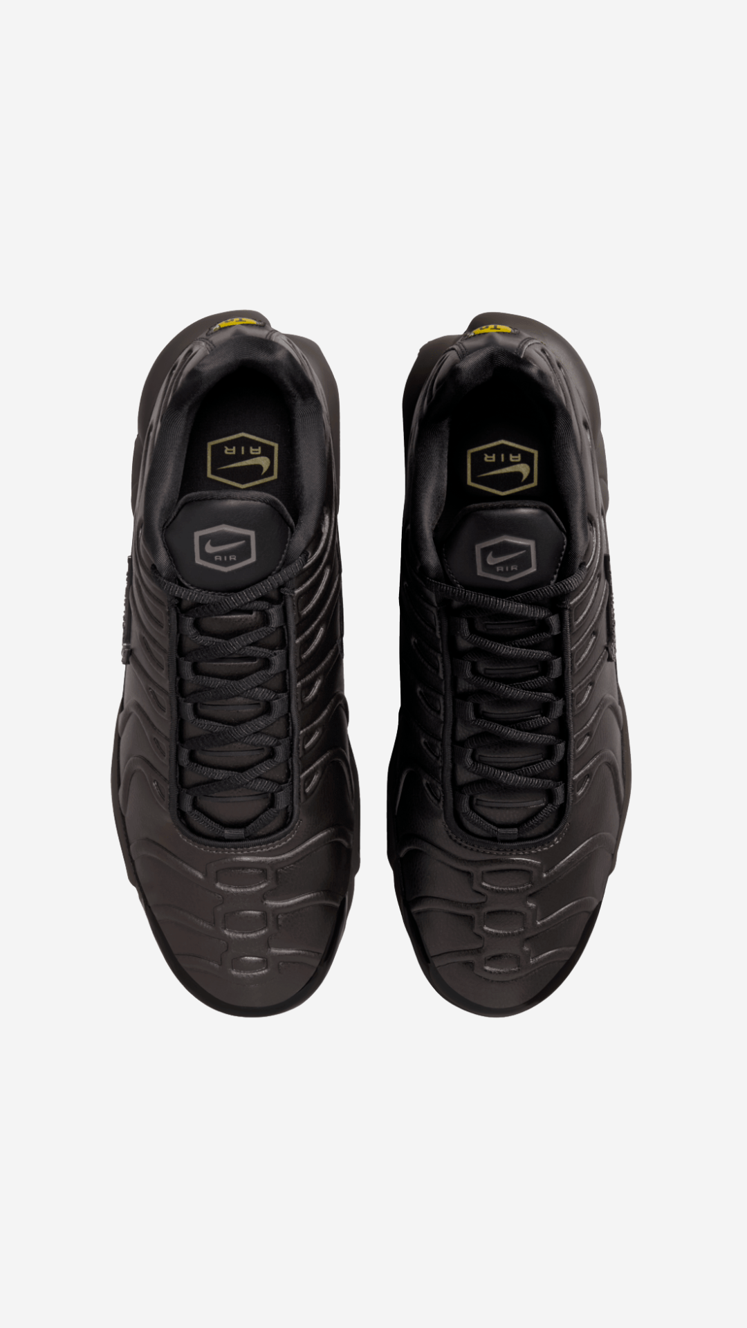 Air Max Plus Premium 'Paris'